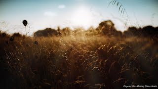 Beyond The Shining Grasslands - Macky feat. 初音ミク