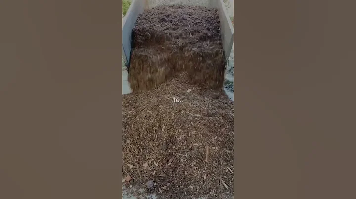 I never thought I could turn my backyard to this..