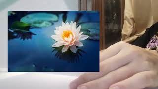 Hiç Merak Ettiniz Mi? 14. Bölüm - Lotus Bitkisinin Özelliği Nedir? (Podcast part 20)