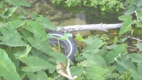 EPA Water Quality Video: Watersheds and Wetlands