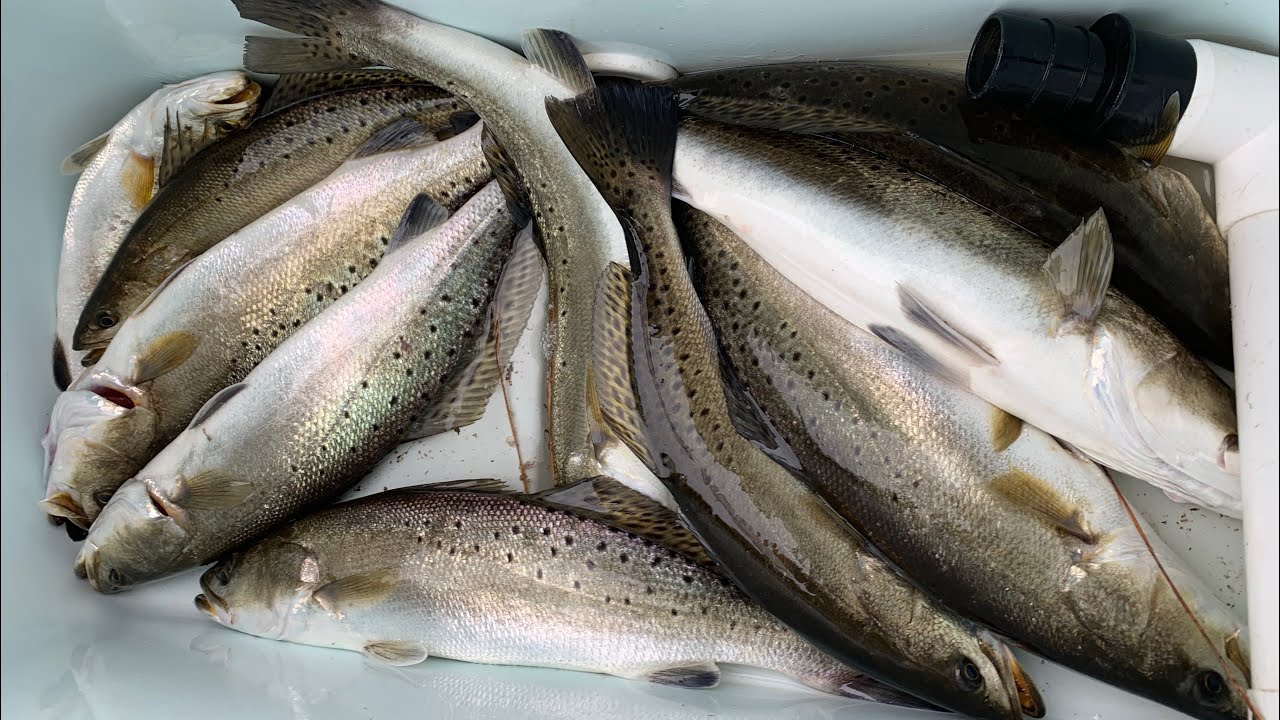 Fowl River Winter Time Speck Fishing "Gettin jiggy with it" YouTube