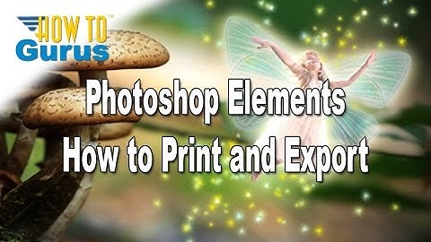 How You Can Print and Export Photos in Photoshop Elements
