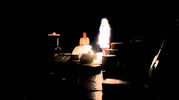 Rosalie Wagenaar - Zwaluw