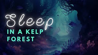 💤 Dive into the Deepest Sleep with a Kelp Forest Bedtime Story 🌊