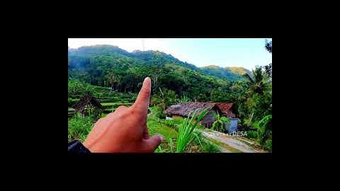 suasana desa di pagi hari bikin betah