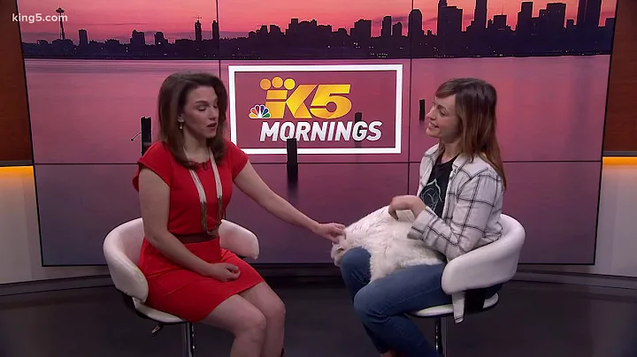 Cat of the Month
