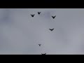Полеты голубей  на марганецком голубедроме 28  02 2021 г