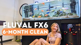 Cleaning Fluval FX6 after 6months on my African Cichlid Tank!