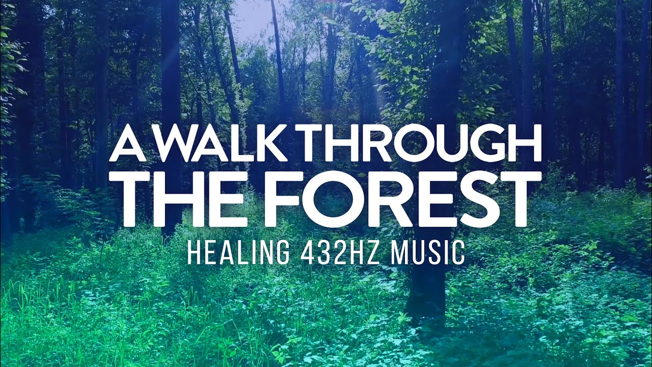 A Walk Through the Forest | Healing 432Hz Ambient Music to Connect with Nature | Forest Sounds A Walk Through the Forest | Healing 432Hz Ambient Music to Connect with Nature | Forest Sounds
