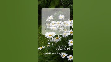 " لَا يُكَلِّفُ اللَّهُ نَفْسًا إِلَّا وُسْعَهَا ۚ  " #سورة_البقرة #ناصر_القطامي #قرآن_كريم #قرآن