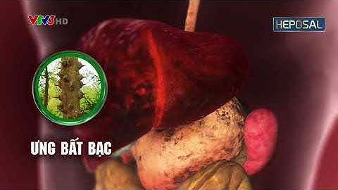 Ưng bất bạc là gì? Công dụng và cách dùng của cây dược liệu quý này