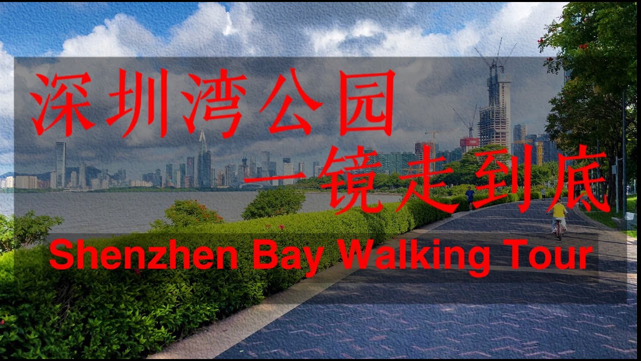 4K HDR Shenzhen Bay Walking Tour in One Shot丨The Most Popular Seaside ...