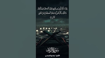 سورة الرعد | Ar-Ra‘d | آية 42 | الشيخ وديع اليمني