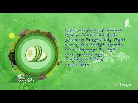 #უკეთრომაკეთო კიტრის მოვლა-მოყვანა