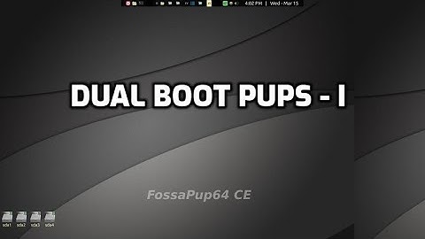 dualPupSetup1: add BookwormPup64 to Fossapup64-CE4 for dual booting