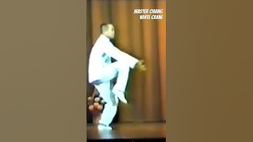 Master YC Chiang demonstrating White Crane Kungfu #whitecrane #breath #martialarts #kungfu