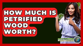 How Much Is Petrified Wood Worth? - Earth Science Answers Wealth
