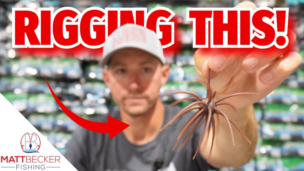 HOW TO FISH THIS THING?