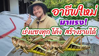 อาชีพทางเลือกใหม่ ! แซงทุกโค้งสร้างรายได้