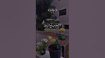 قران كريم ارح سمعك وقلبك #explore #اكسبلور ##قران_كريم #الا_بذكر_الله_تطمئن_القلوب #خديجة_قطيشات