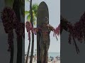「言葉の力」