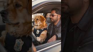 The Paws of Justice: 90s Cop Movie Trailer! 🐾🚔@AlanChikinChow @100ENGLISH