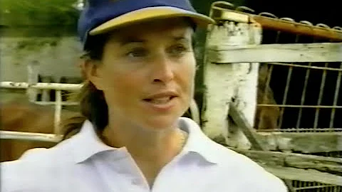 Harness Racing,Harold Park-1996 Miracle Mile (Rain...