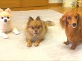 プレゼントに大喜び ‼︎