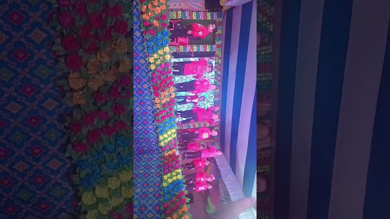 School annual function 