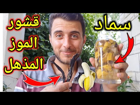فيديو: استخدام قشر الموز في السماد - تأثير الموز على سماد التربة