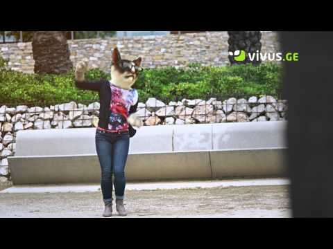 ყველაზე იაფი ონლაინ სესხი Vivus.ge-სგან