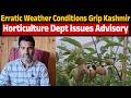 Erratic weather conditions in Kashmir, Horticulture department issues Advisory.