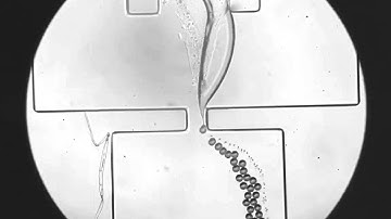 Microfluidic Droplet Separation