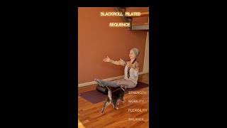 BLACKROLL FOAM ROLLER STANDARD screenshot 2