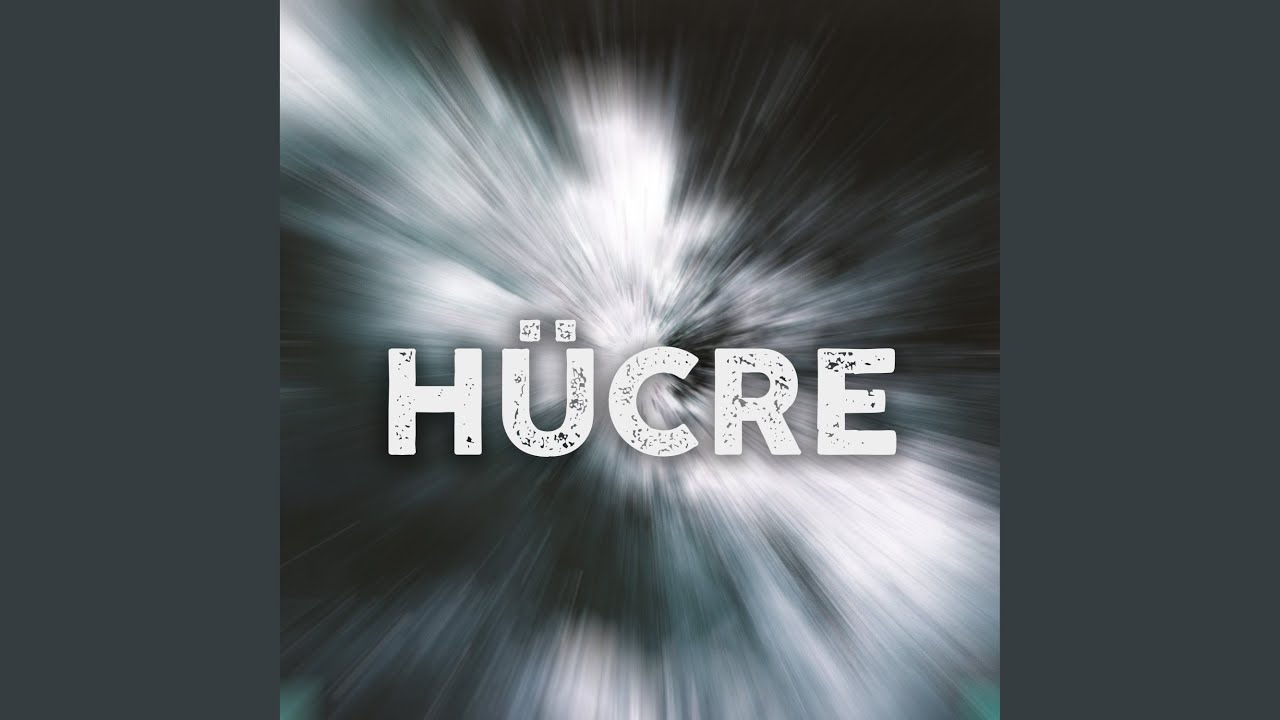 Hücre