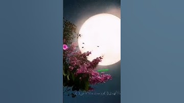 استمع الى القرآن الكريم