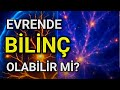 Evrende Bilinç Var Mı? | Evrenimiz Hücre Olabilir Mi?