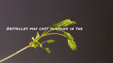 Journey of Resilience: Finding Strength Amidst Life