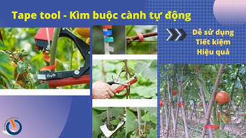 Phần 1 💰 Tape tool - Cách dùng Kìm buộc cành tự động - Kìm buộc chanh dây, nho, cà chua, dưa leo
