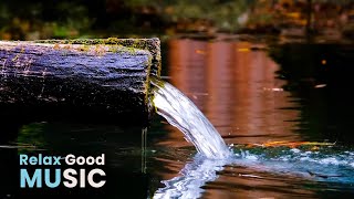 Natural Ambience: Harmonious Water Flow Meditation