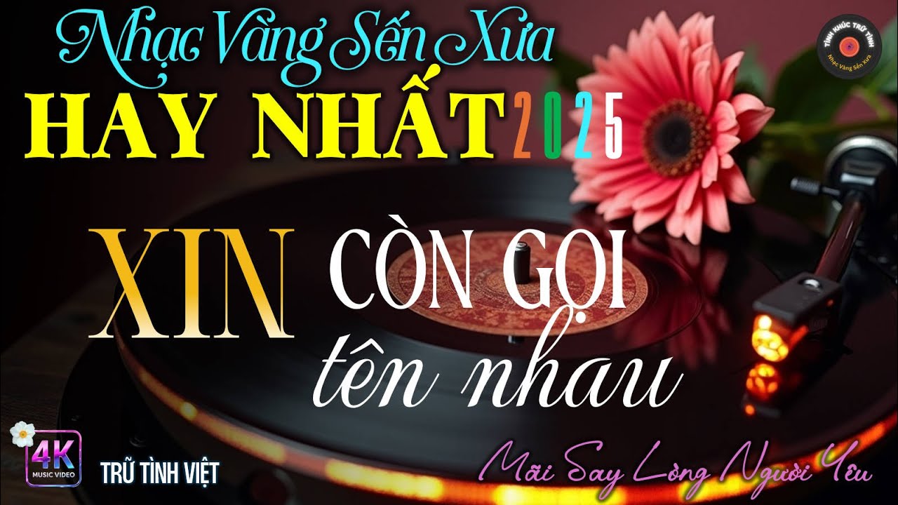 Nhạc TÌNH CA Trữ Tình BOLERO BUỒN LÃNG MẠN, ĐỘC LẠ 2025 - Nhạc Vàng Xưa NHẸ NHÀNG SÂU LẮNG CỰC ÊM