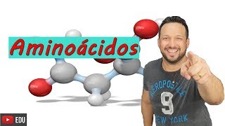 Aminoácidos - Ligações peptídicas - Bioquímica - Compostos orgânicos - Biologia com o tubarão