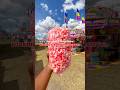 Florida Strawberry Festival in Plant City, FL #strawberryfestival #plantcityflorida #shorts Mp3 Song