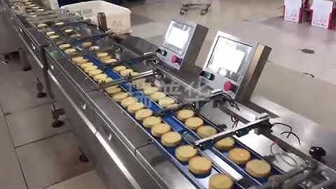 Cookies biscuits 2 laminated in bag high speed packaging machine, flow pack machinery, wrapper