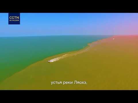 Китай продвигает качественное развитие защиты водно-болотных угодий