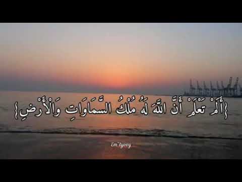 وما لكم من دون الله ولي ولا نصير