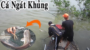 Câu Cá Ngát Khủng , Cá Út, Cá Phèn Ngoài Sông Cái  | Chuyến Câu Đầu Tiên Bằng Ghe Câu