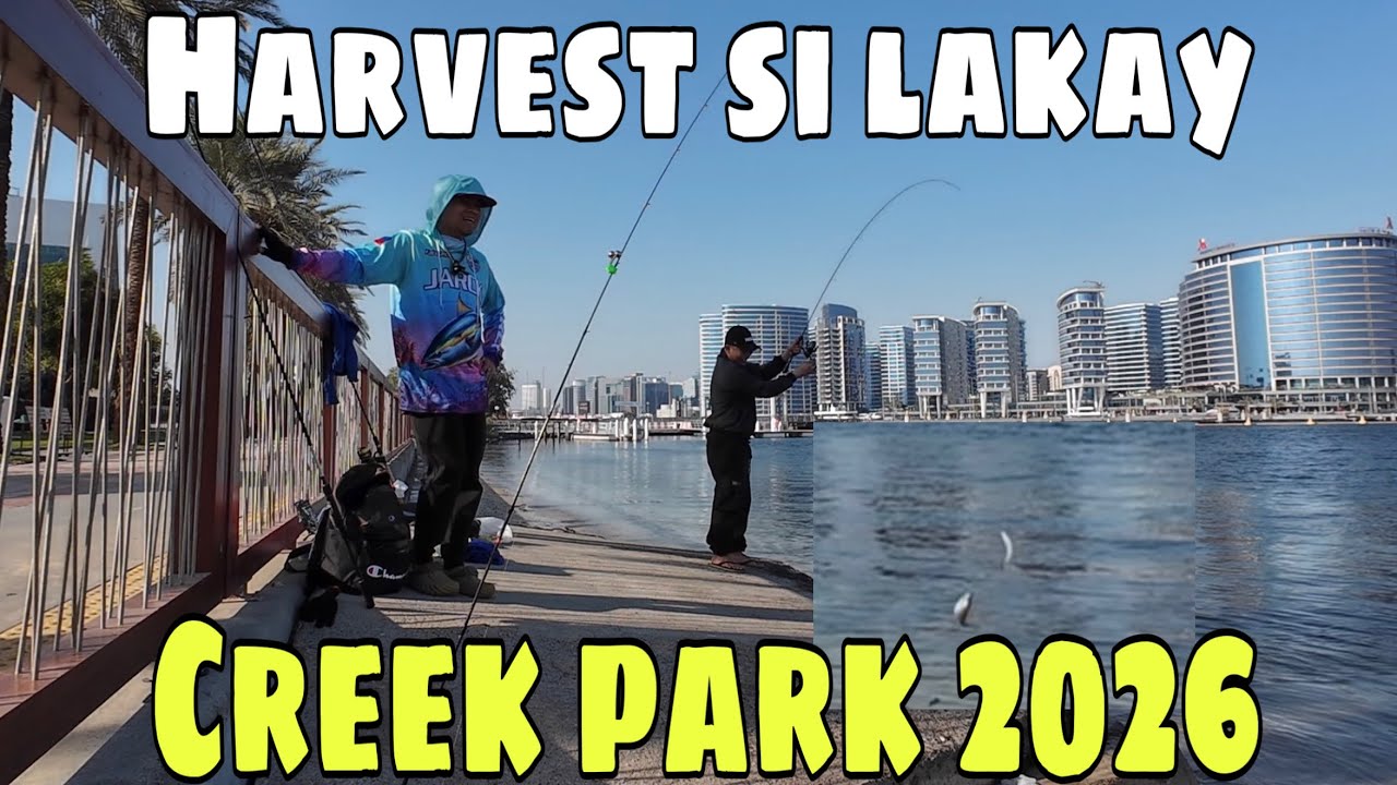 BAIT FISH HARVEST ( Andaming Kabasi! )