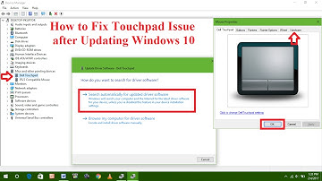 How to Fix Touchpad Issue after Updating Windows 10