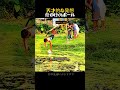 命がけのボール